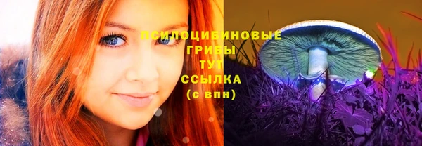 прущий лед Арсеньев