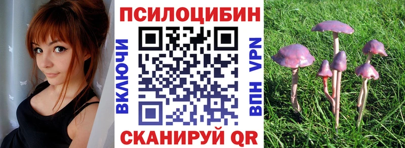 Псилоцибиновые грибы Magic Shrooms Купить закладки Бикин